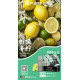 正品 SP2s MAX煙彈 新品SP2s Machine X主機專用煙彈 正品 SP2s MAX煙彈 新品SP2s Machine X主機專用煙彈