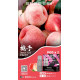 正品 SP2s MAX煙彈 新品SP2s Machine X主機專用煙彈 正品 SP2s MAX煙彈 新品SP2s Machine X主機專用煙彈